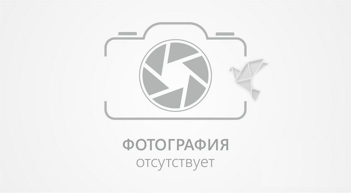 Керлинг. В Алматы завершился сезон керлинга-2012