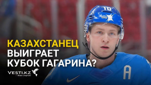 Никита Михайлис: откровения о Кубке Гагарина и жизнь после «Барыса»