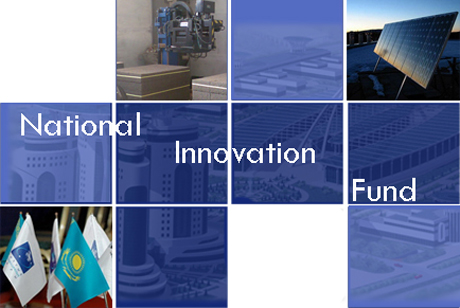 Подведены итоги развития инновационной системы РК в 2010 году