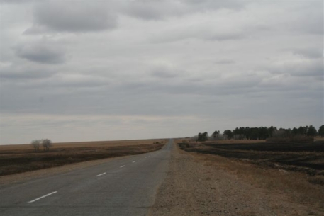 Девять человек пострадали в ДТП в Восточном Казахстане