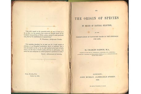 "Происхождение видов" Дарвина продали за 172 тысячи долларов