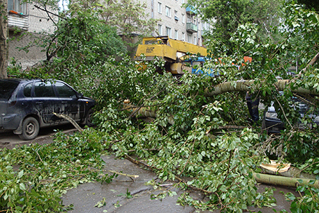 Ураган в Ивановской области унес жизни трех человек