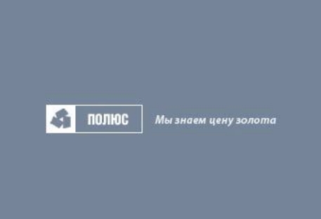 "Полюс Золото" приобрело 11,4 процента акций РБК